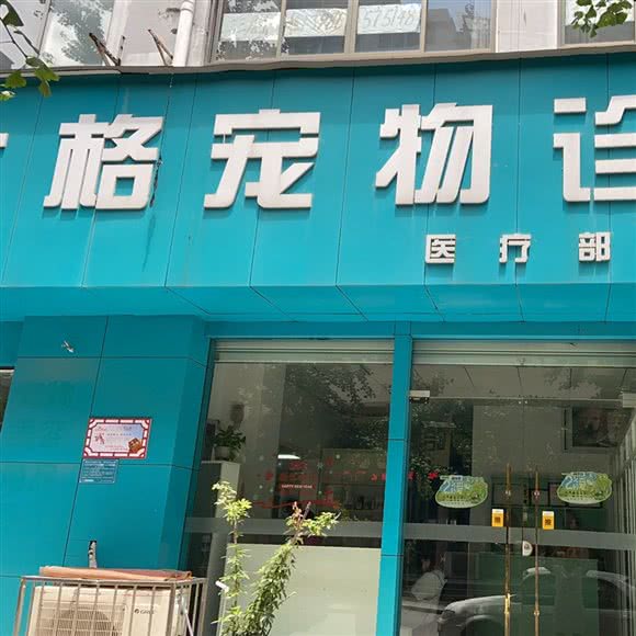 太格宠物诊所:黄石市下陆区团城山开发区附近