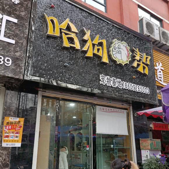 哈狗帮宠物基地:十堰市茅箭区人民商场附近