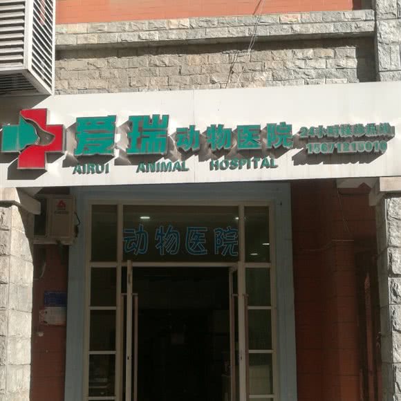 爱瑞动物医院:十堰市茅箭区北京路附近