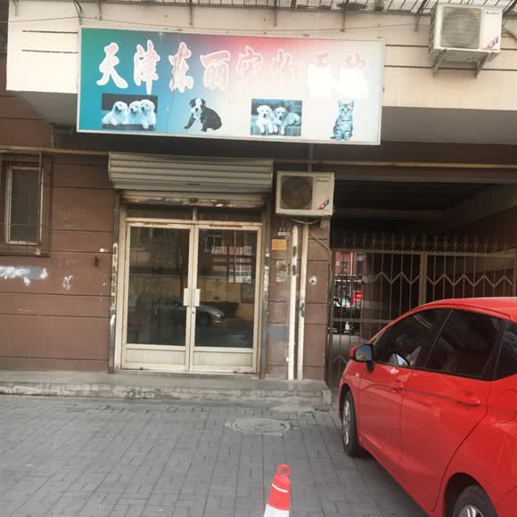 天津市东丽宠物医院:天津城区东丽区天山南路附近