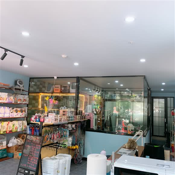 小开心宠物生活馆:宜昌市西陵区葛洲坝附近