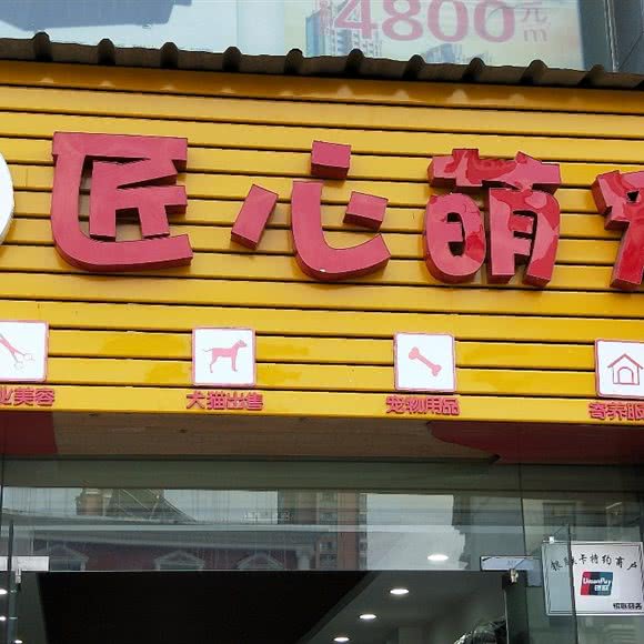 匠心萌宠:宜昌市西陵区CBD购物中心附近