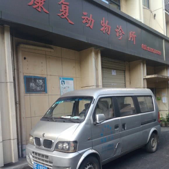 康复动物诊所:宜昌市西陵区CBD购物中心附近