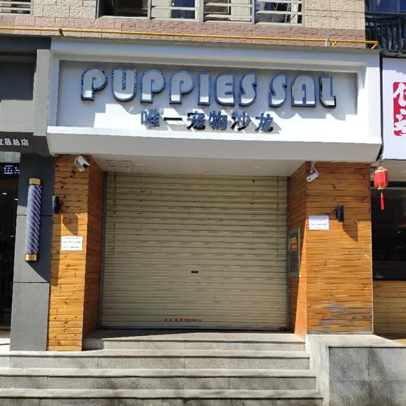 唯一宠物沙龙:宜昌市西陵区解放路步行街附近