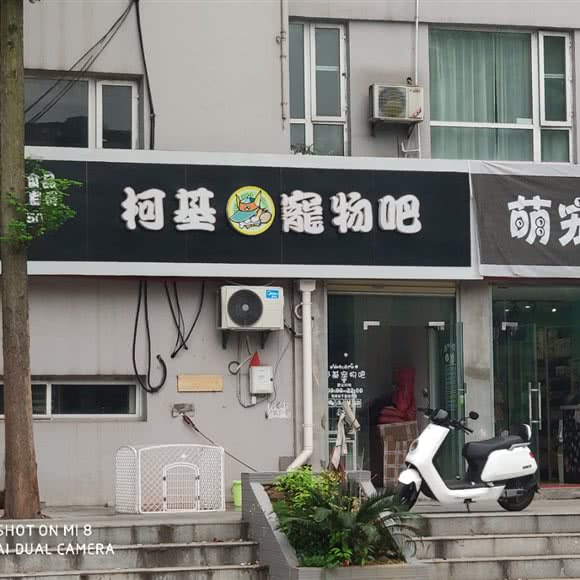 柯基宠物吧:宜昌市西陵区403附近
