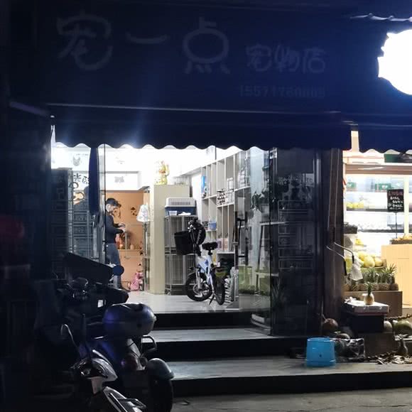 宠一点宠物诊所:宜昌市西陵区东山开发区附近