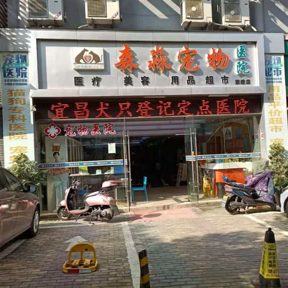 森淼宠物医院:宜昌市西陵区东山开发区附近