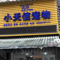 小天使宠物:宜昌市西陵区隆康路附近