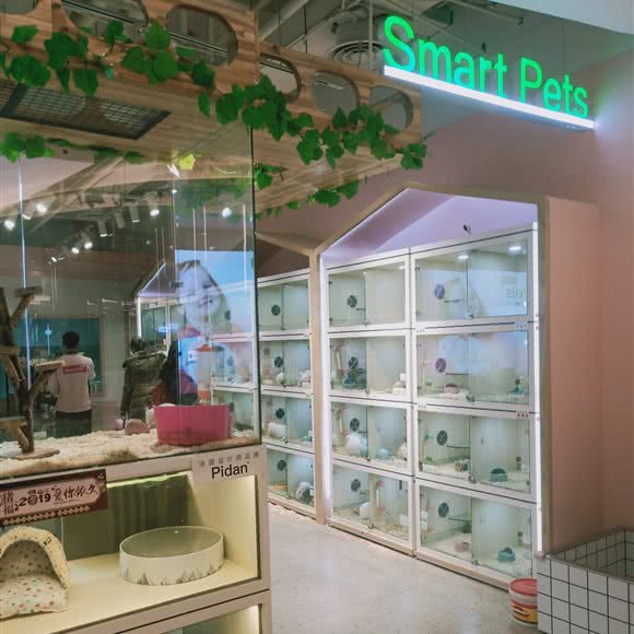 SmartPets:宜昌市西陵区夷陵广场附近