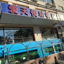 北京爱天使国际动物医院:北京城区朝阳区劲松/潘家园附近