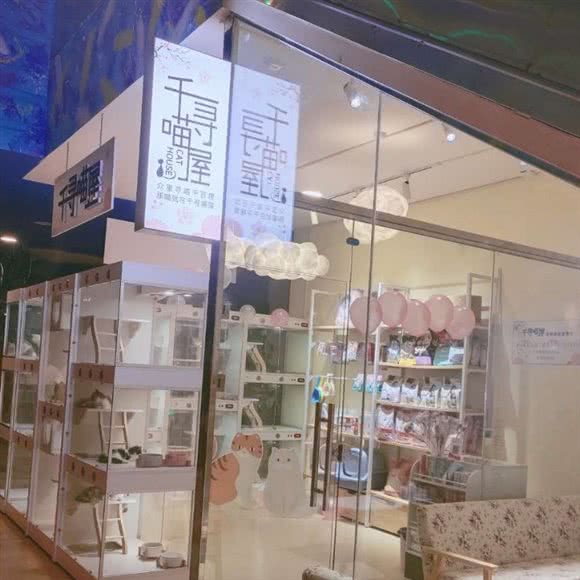 千寻喵屋:宜昌市伍家岗区万达广场附近