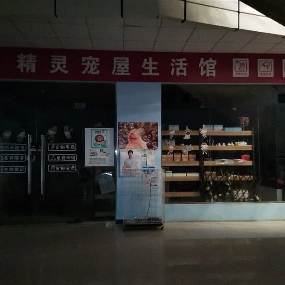 精灵宠屋生活馆:宜昌市伍家岗区五一广场附近