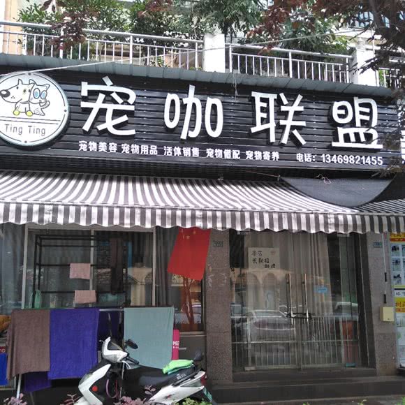 宠咖联盟:宜昌市伍家岗区五一广场附近