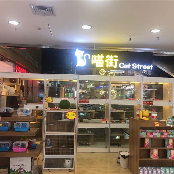 喵街宠物:宜昌市伍家岗区香山福久源附近