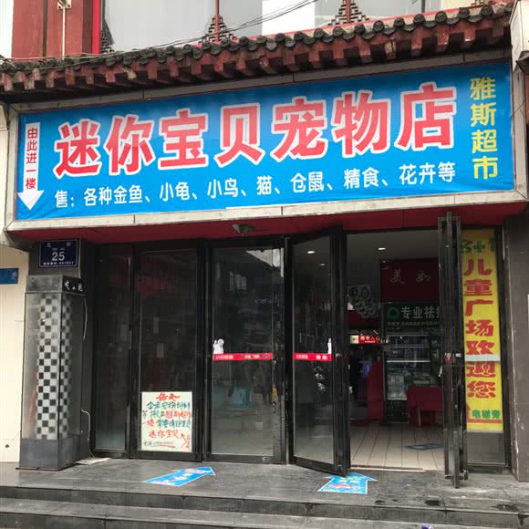 迷你宝贝宠物店:襄阳市襄城区鼓楼附近