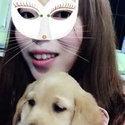 汤姆宠物:襄阳市襄城区鼓楼附近