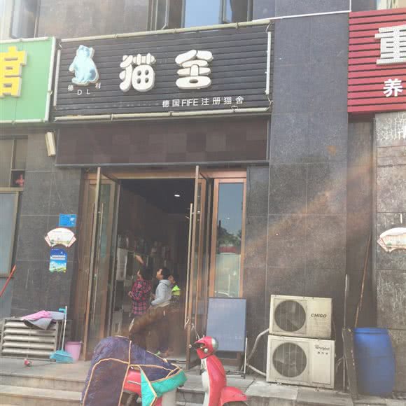 德利猫舍:襄阳市襄城区檀溪路附近