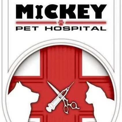 米褀动物诊所:襄阳市襄城区檀溪路附近