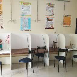 和谐宠物儿科:襄阳市襄城区胜利街附近