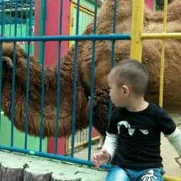 皮皮鲁时尚宠物:襄阳市樊城区人民广场附近