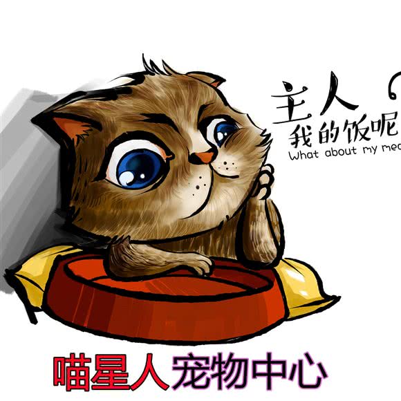喵星人宠物中心:襄阳市樊城区华丰路/风华路附近