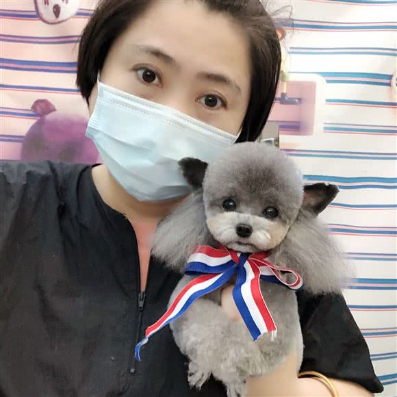 翠花妈萌宠工作室(开家萌宠店):襄阳市樊城区华丰路/风华路附近