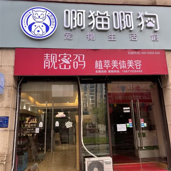 啊猫啊狗宠物生活馆:襄阳市樊城区万达附近