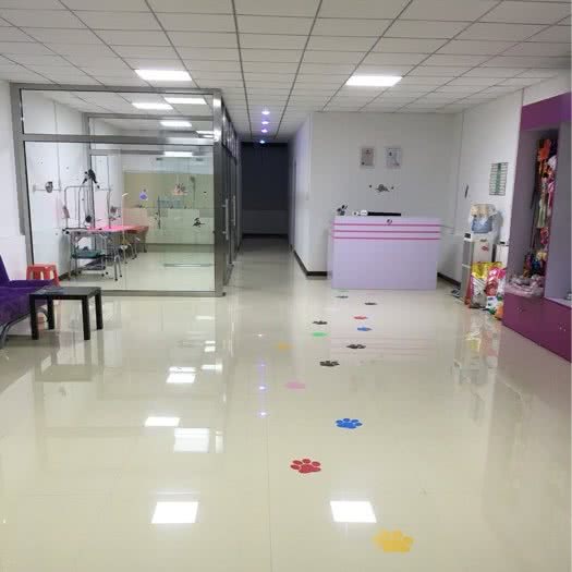 毛小孩爱宠乐园(东丽店):天津城区东丽区东丽开发区附近