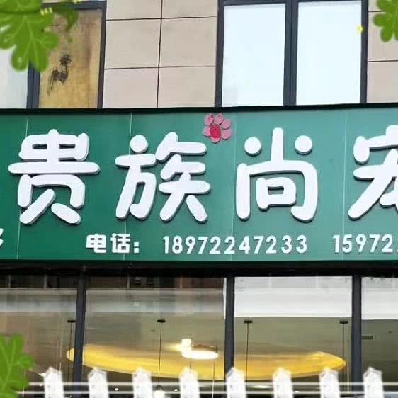 贵族尚宠:襄阳市樊城区万达附近