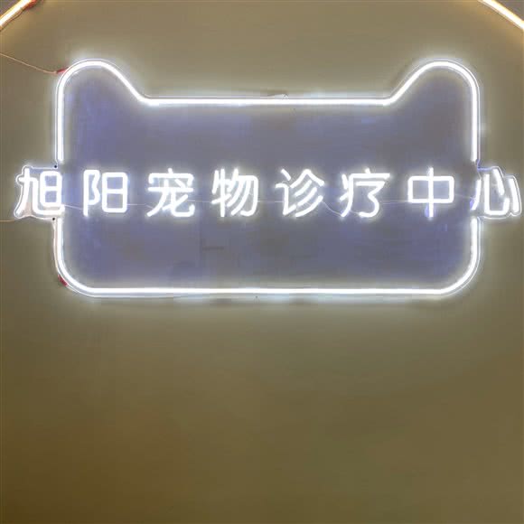 旭阳宠物诊疗中心:襄阳市樊城区万达附近
