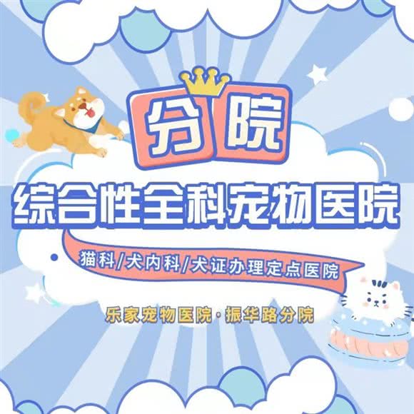 乐家宠物医院(振华路分院):襄阳市樊城区万达附近