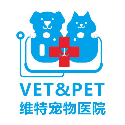 维特宠物诊疗中心:襄阳市樊城区华洋堂附近
