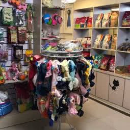 萌宠一族:襄阳市樊城区沃尔玛附近