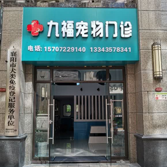 九福宠物门诊:襄阳市樊城区沃尔玛附近