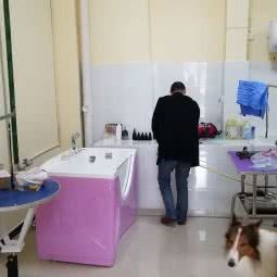 襄阳市襄州区麦乐斯宠物店:襄阳市襄州区民发世界城附近