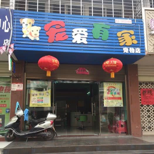 宠爱有家宠物店:鄂州市鄂城区滨湖南路/莲花山附近