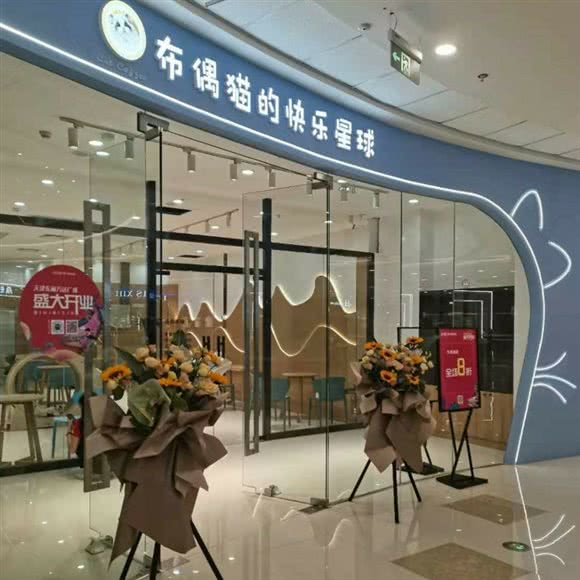 布偶猫的快乐星球(东丽万达店):天津城区东丽区东丽开发区附近