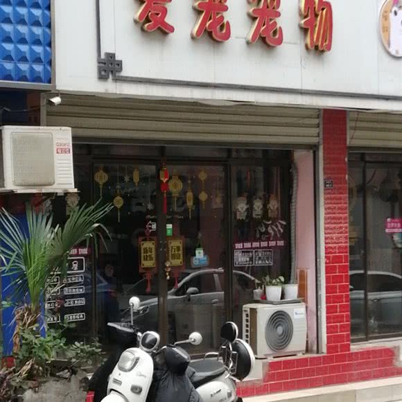 爱宠宠物:荆门市东宝区南台/天鹅广场附近