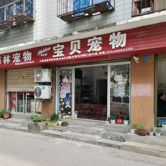 宝贝宠物:荆门市东宝区象山大道附近