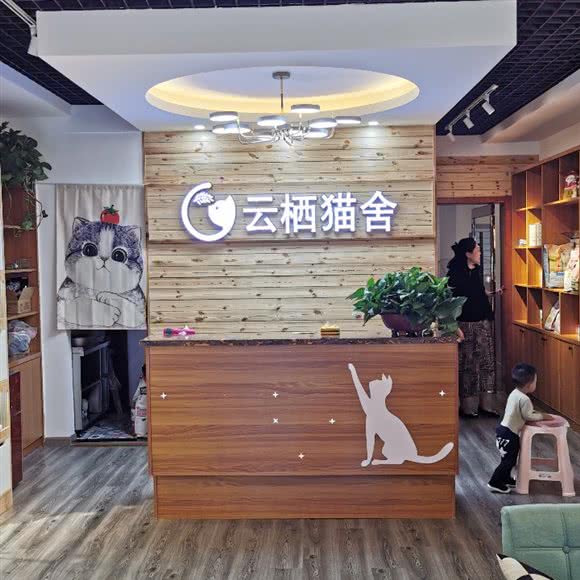 云栖猫舍:荆门市掇刀区生态运动公园附近