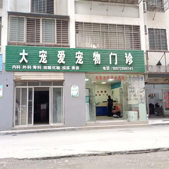 大宠爱宠物门诊:荆门市掇刀区石化附近