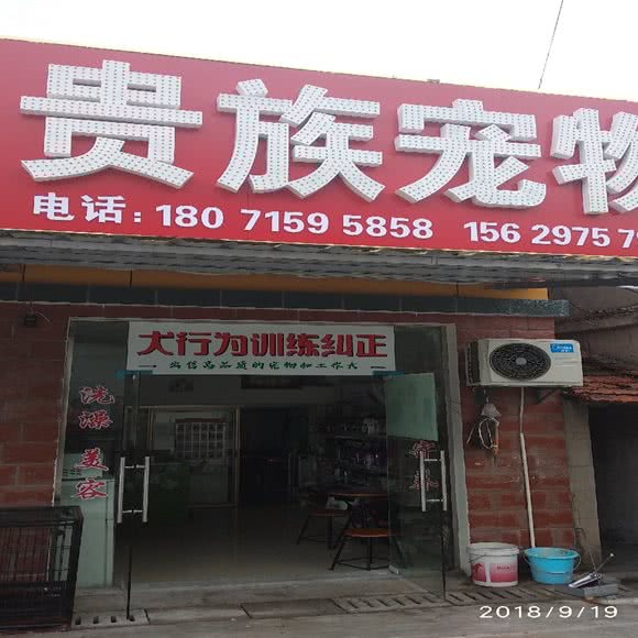 贵族宠物:荆门市掇刀区城南新区附近