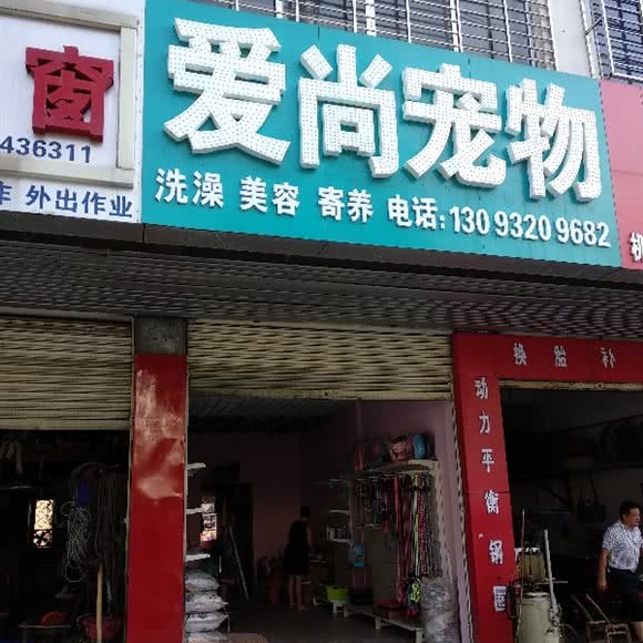 爱尚宠物:荆门市掇刀区掇刀街道附近