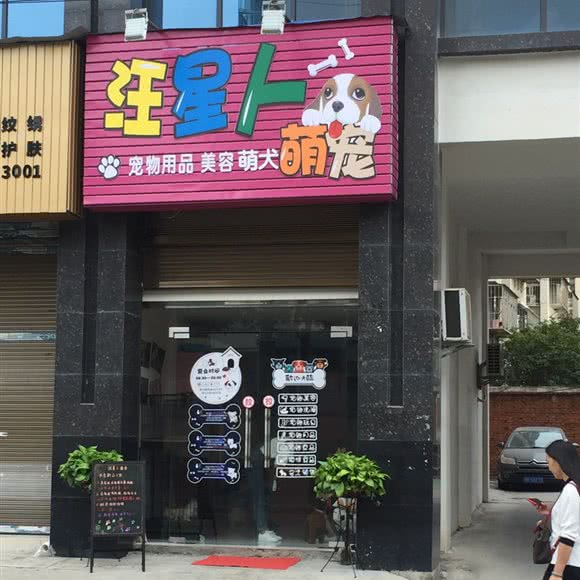 汪星人萌宠:荆门市京山市京山市附近