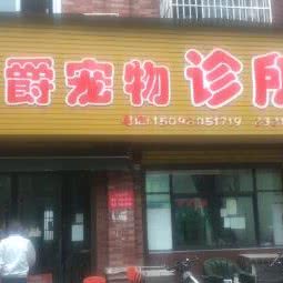 伯爵宠物诊所:孝感市孝南区城站路附近