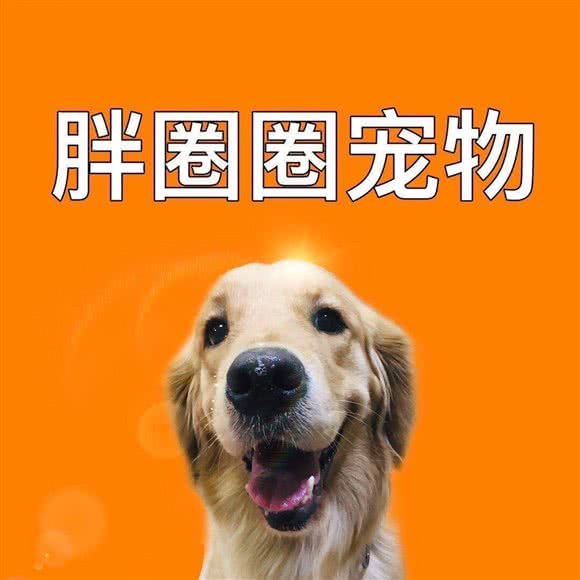 胖圈圈宠物:孝感市孝南区百佳宏业附近