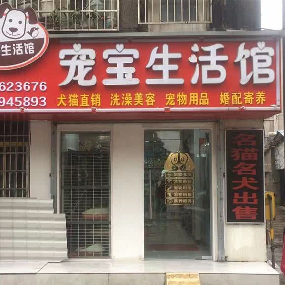 宠宝生活馆:荆州市沙市区长港路附近