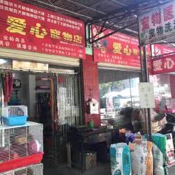 爱心宠物店:荆州市沙市区江汉北路附近