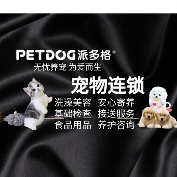 PETDOG派多格宠物连锁(朝阳店):荆州市沙市区北京东路附近