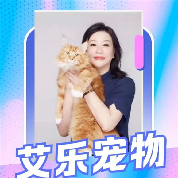 艾乐宠物·SPA泡泡浴:荆州市沙市区北京东路附近